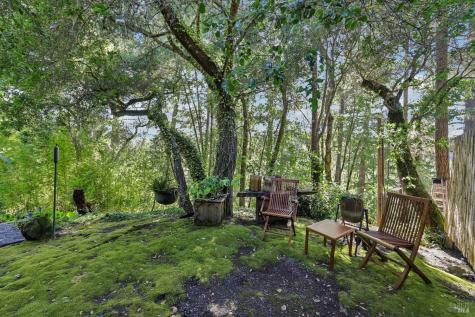 2515 Stepps Road Sebastopol CA 95472