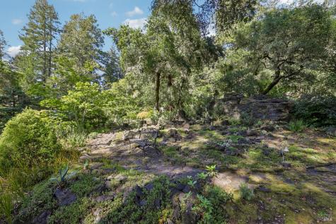 2515 Stepps Road Sebastopol CA 95472