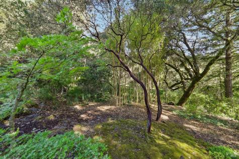 2515 Stepps Road Sebastopol CA 95472