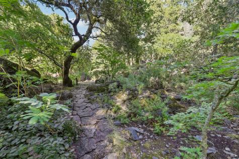 2515 Stepps Road Sebastopol CA 95472
