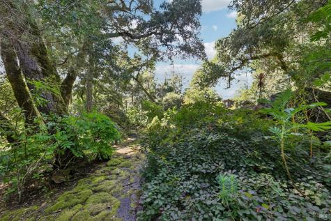 2515 Stepps Road Sebastopol CA 95472