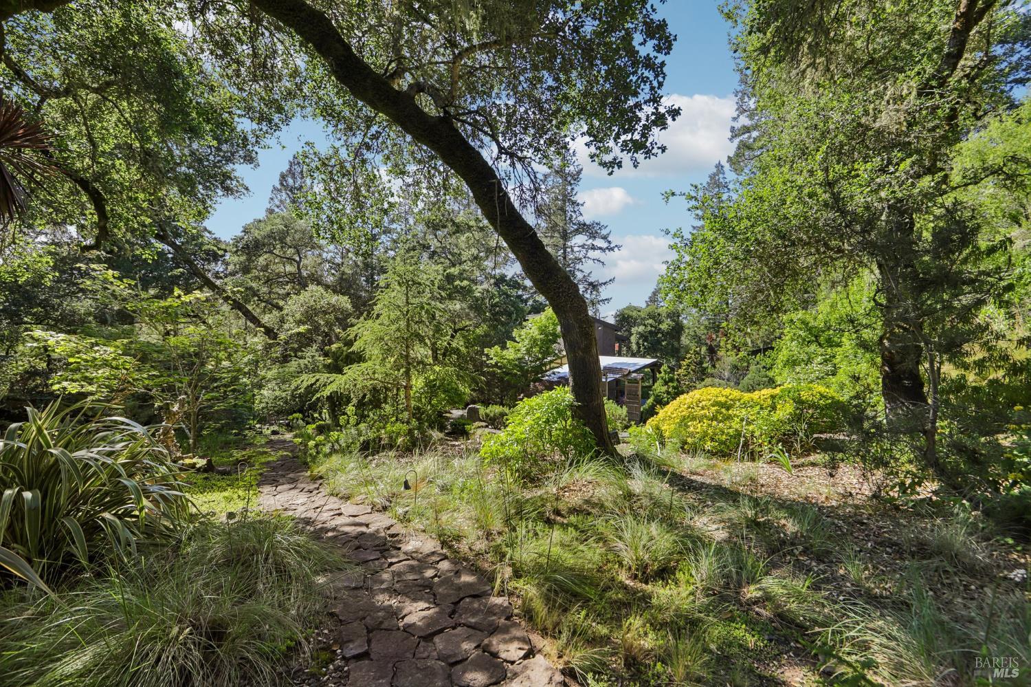 2515 Stepps Road Sebastopol CA 95472
