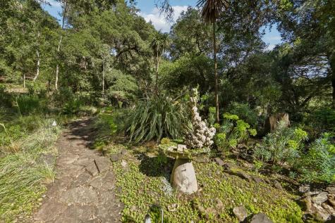 2515 Stepps Road Sebastopol CA 95472