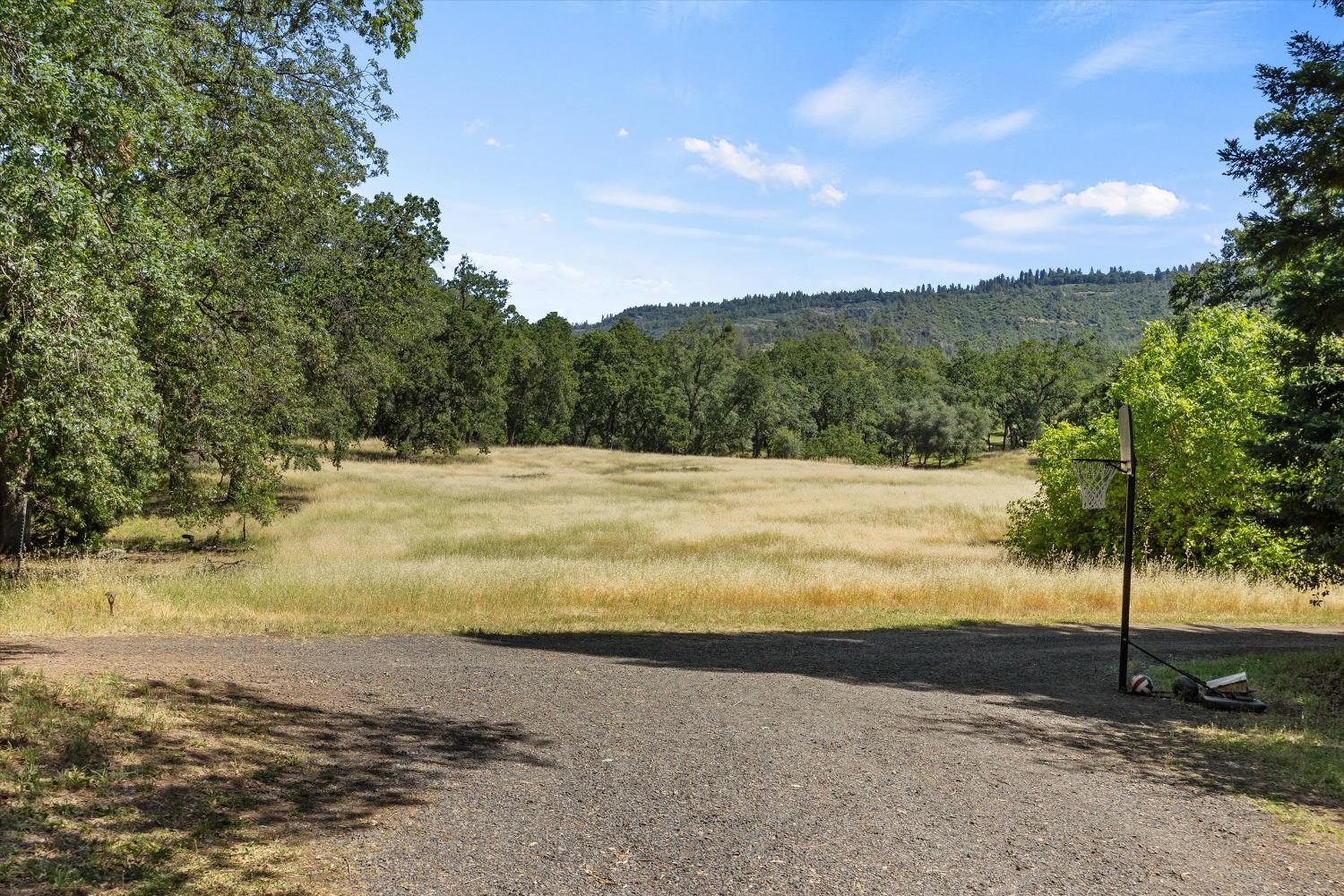 13833 Centerville Road Chico CA 95928