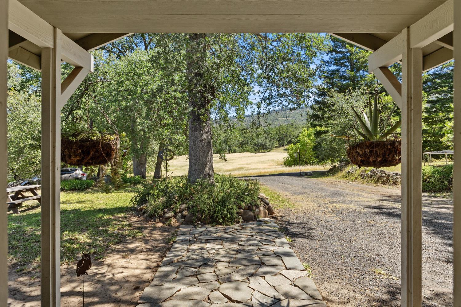 13833 Centerville Road Chico CA 95928