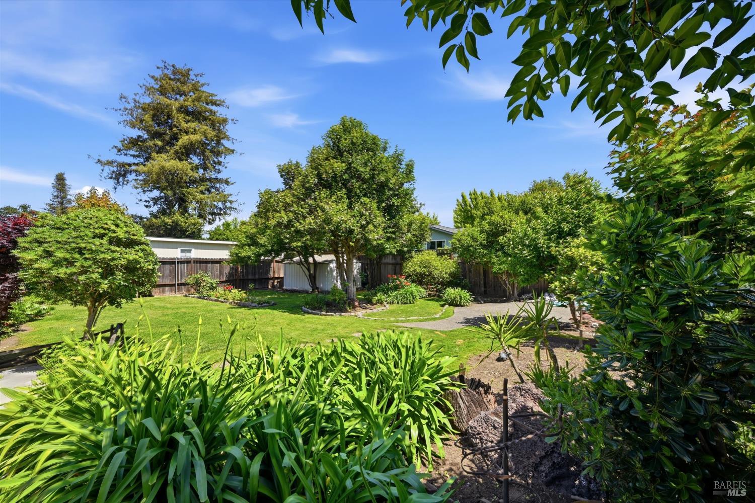 3614 Jefferson Street Napa CA 94558