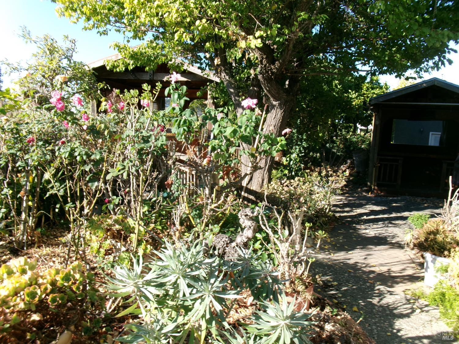 430 Larkin Drive Benicia CA 94510
