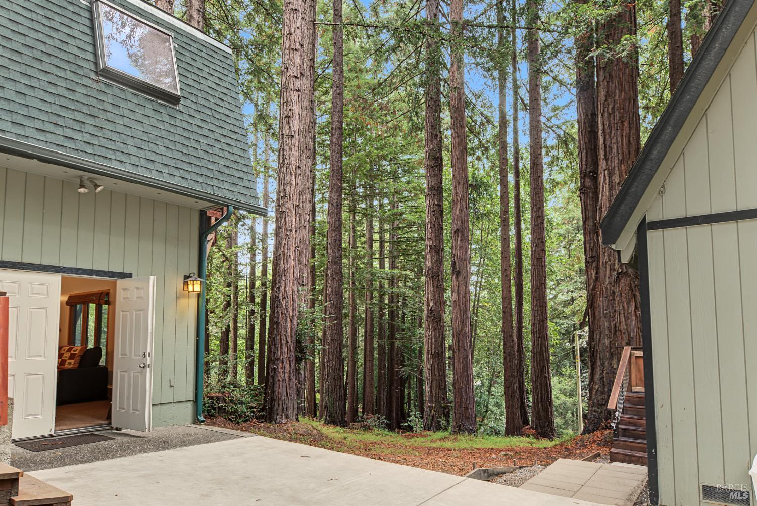 2411 Joy Road Occidental CA 95465