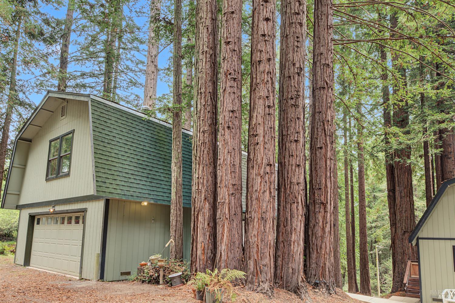 2411 Joy Road Occidental CA 95465