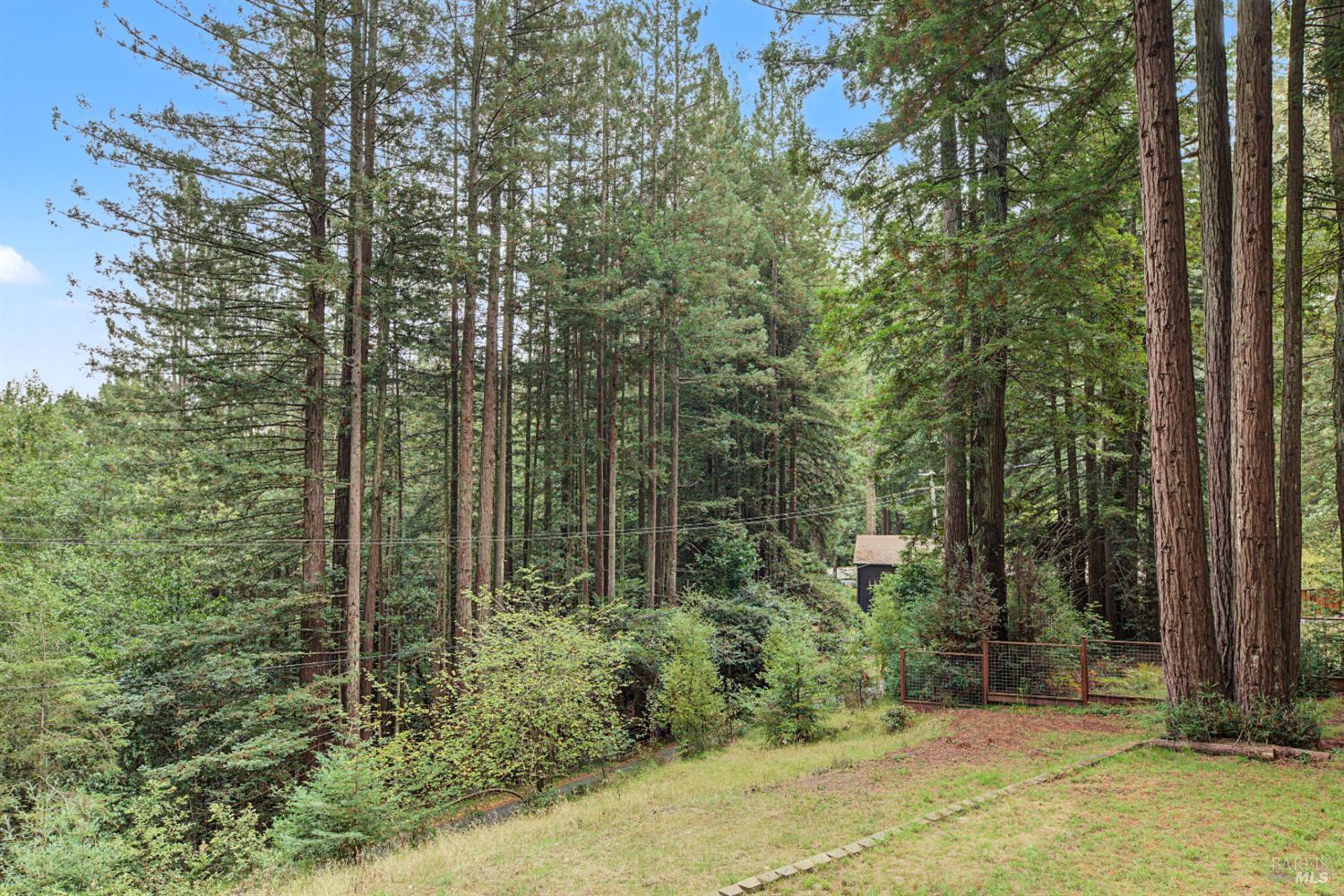 2411 Joy Road Occidental CA 95465