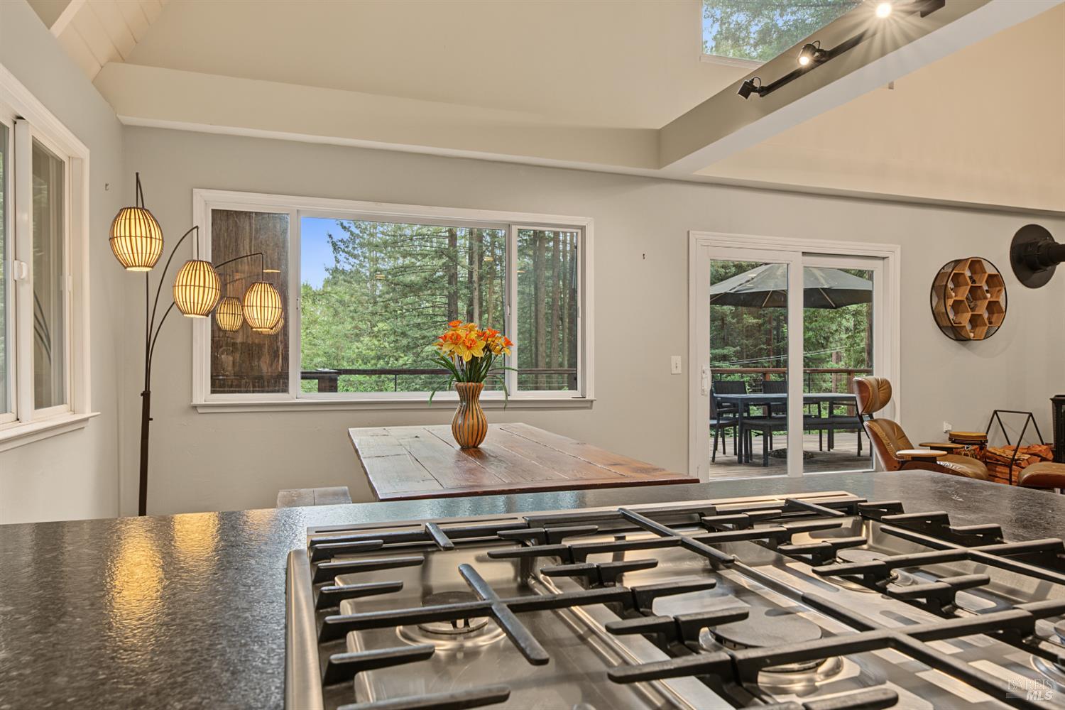 2411 Joy Road Occidental CA 95465