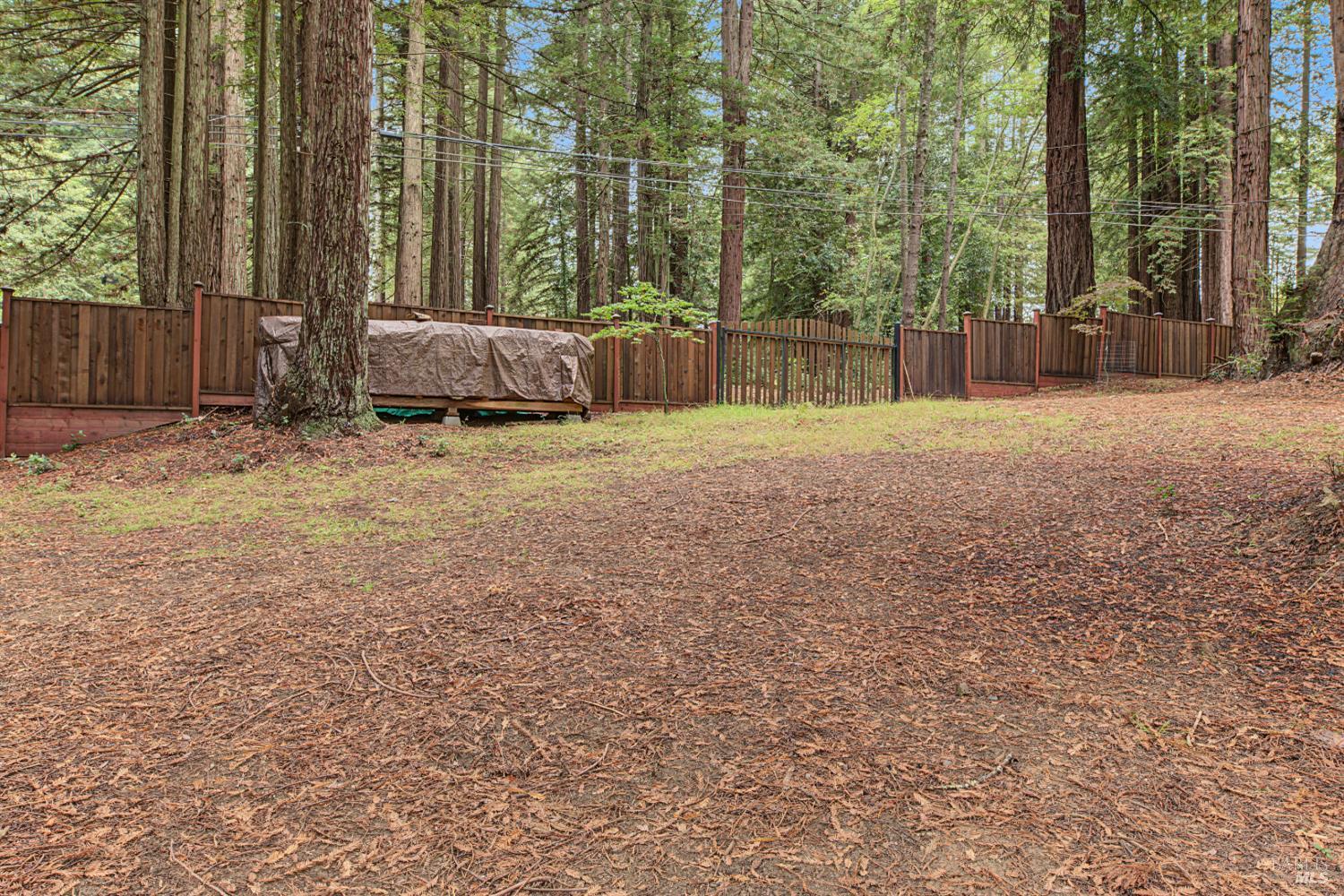 2411 Joy Road Occidental CA 95465