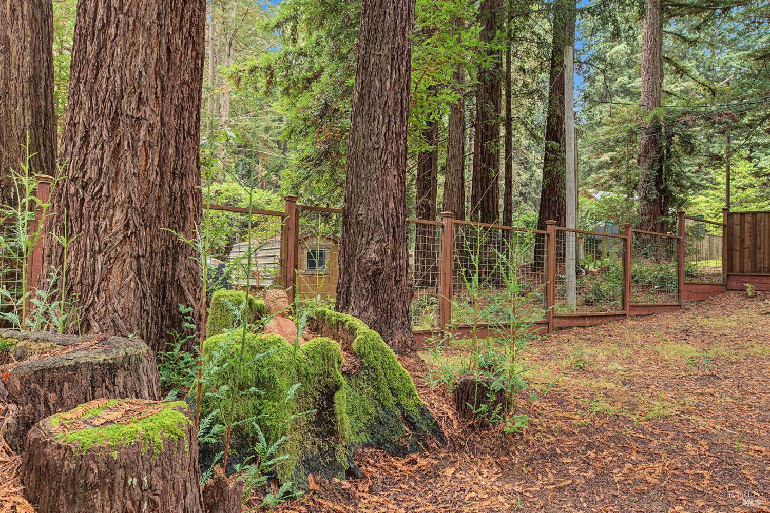 2411 Joy Road Occidental CA 95465