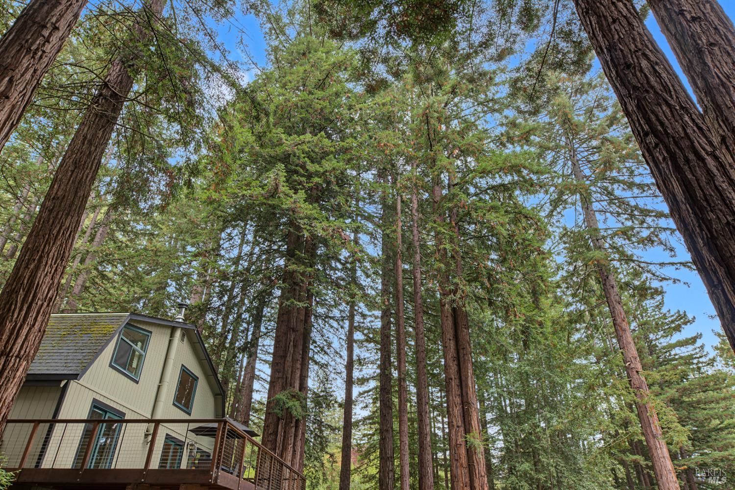 2411 Joy Road Occidental CA 95465