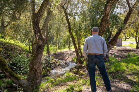 7007 Erland Road Santa Rosa CA 95404