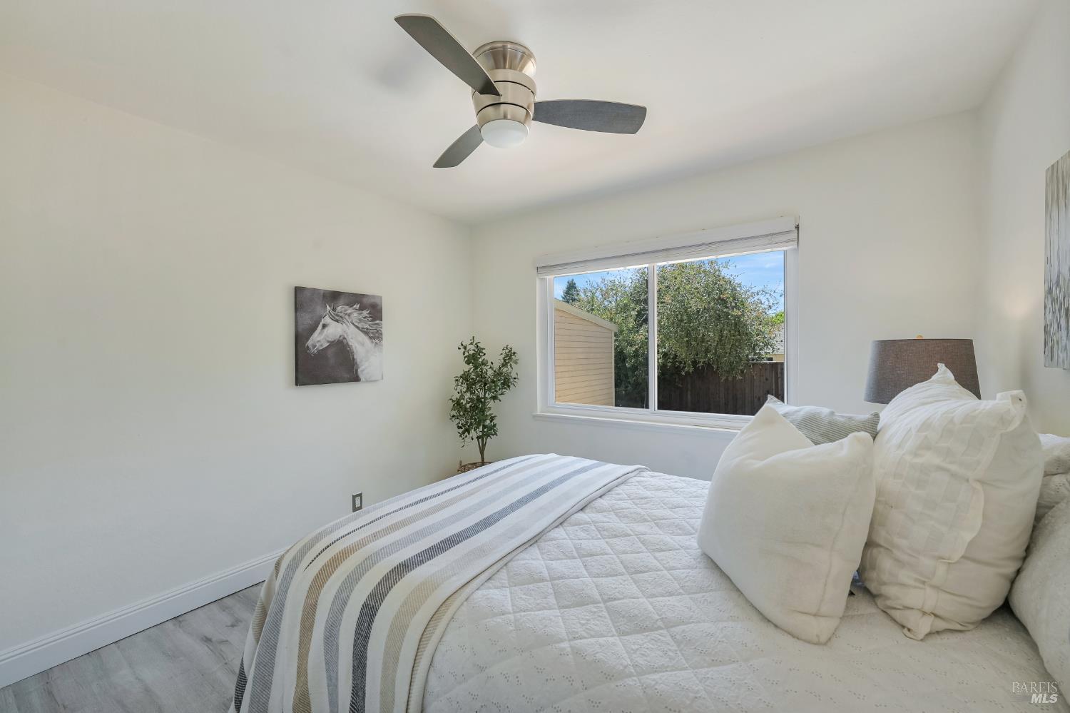 555 Arthur Street Novato CA 94947
