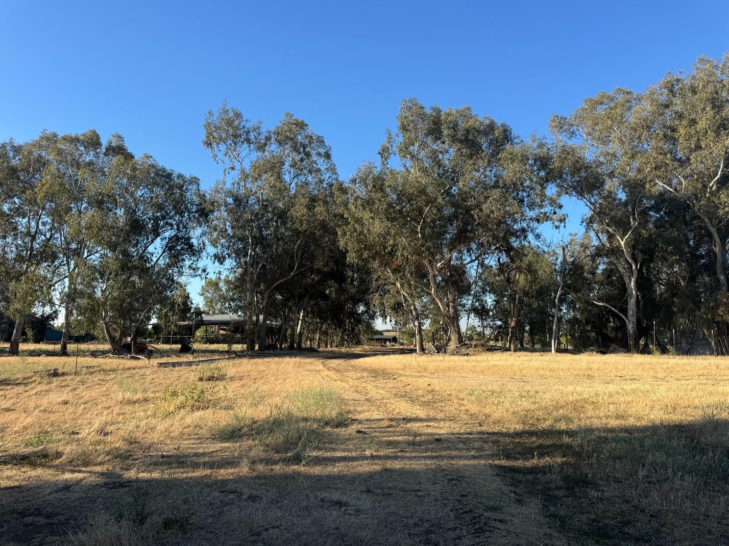 21000 County Road 95 Woodland CA 95695