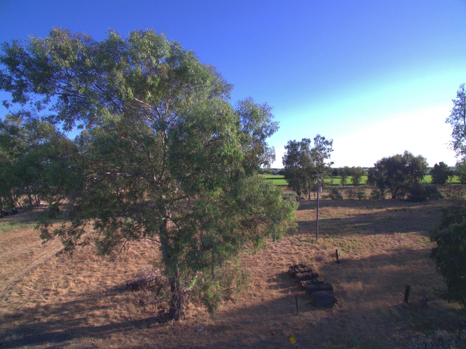 21000 County Road 95 Woodland CA 95695