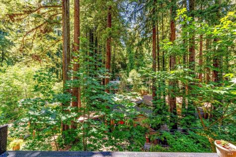 11075 Dell Avenue Forestville CA 95436
