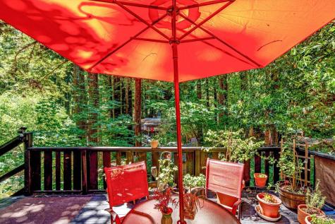 11075 Dell Avenue Forestville CA 95436