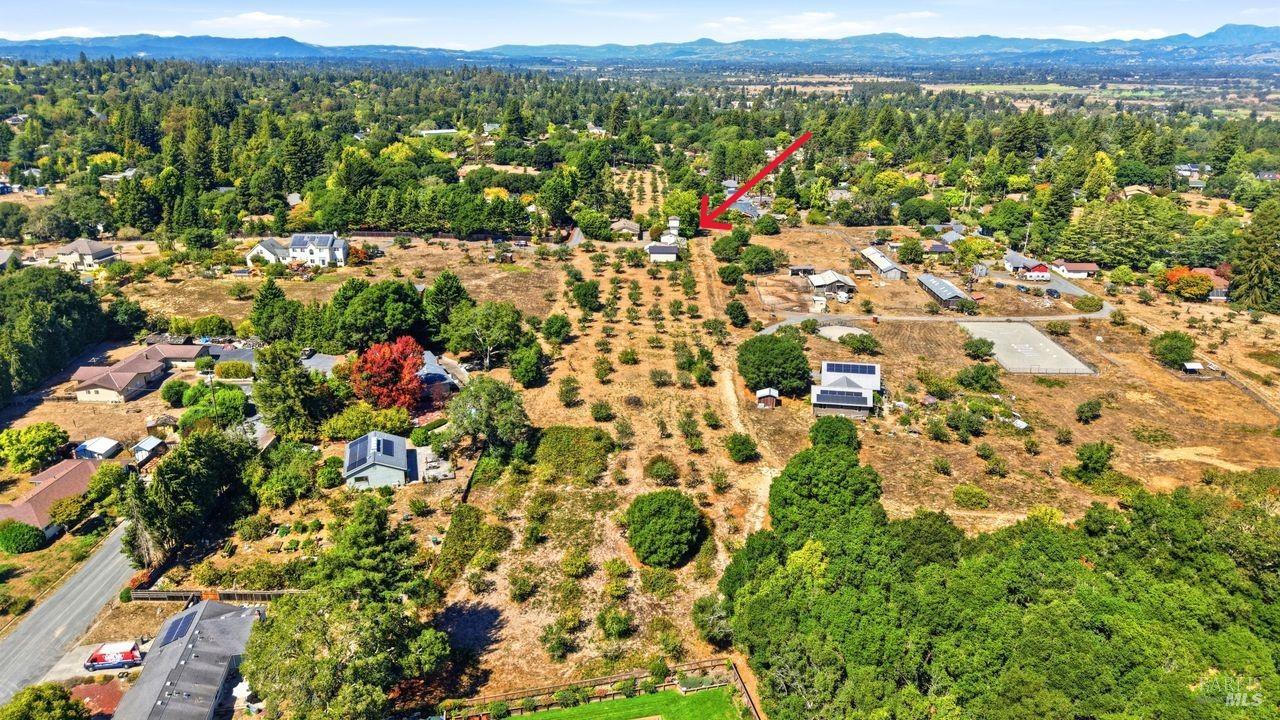 815 Blessing Way Sebastopol CA 95472