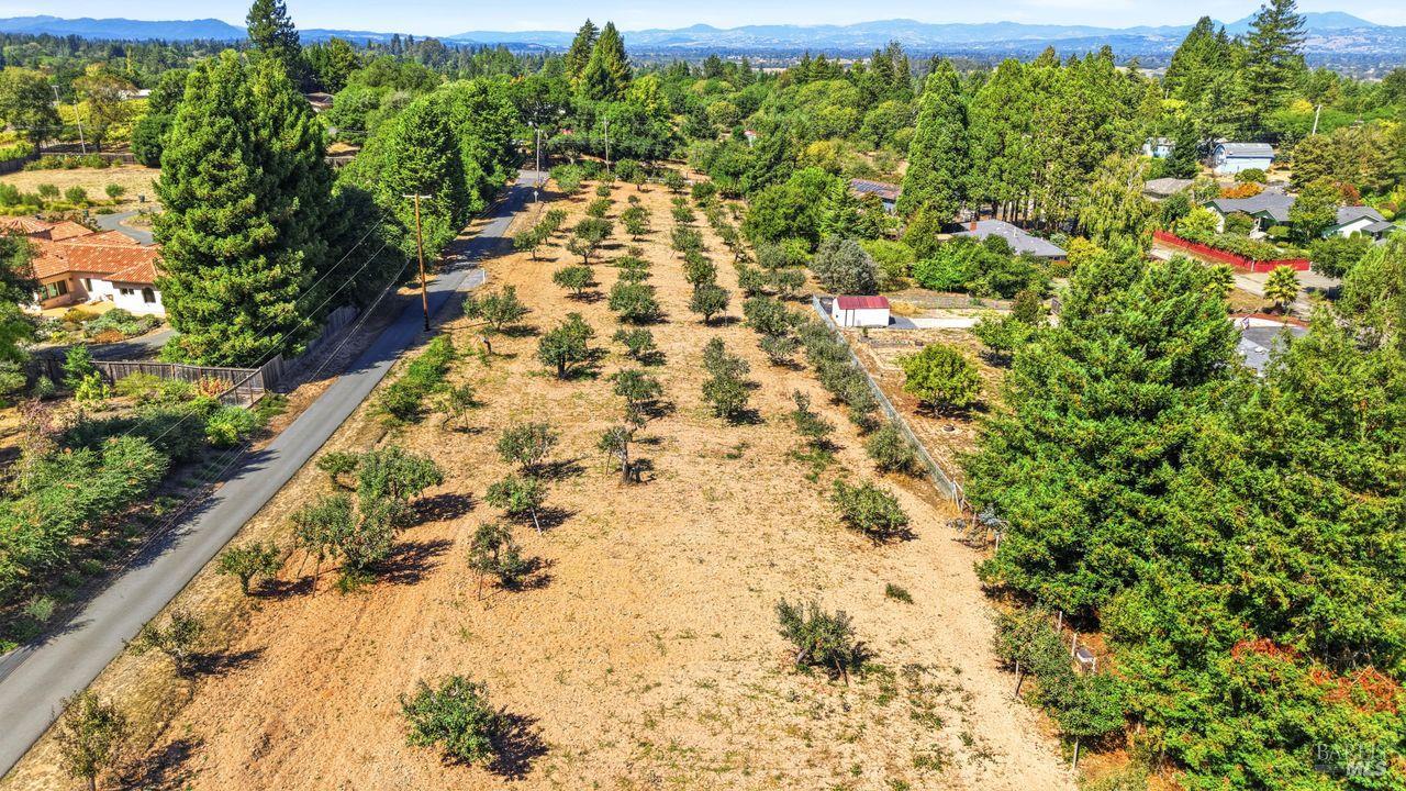 815 Blessing Way Sebastopol CA 95472