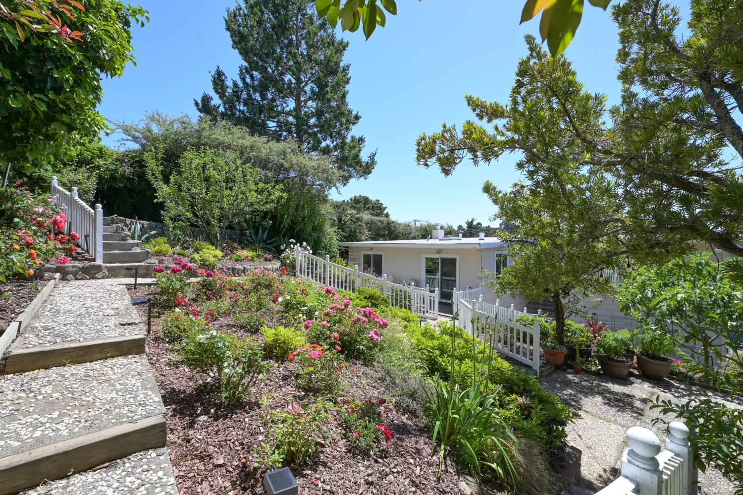 54 Bay Vista Drive Mill Valley CA 94941