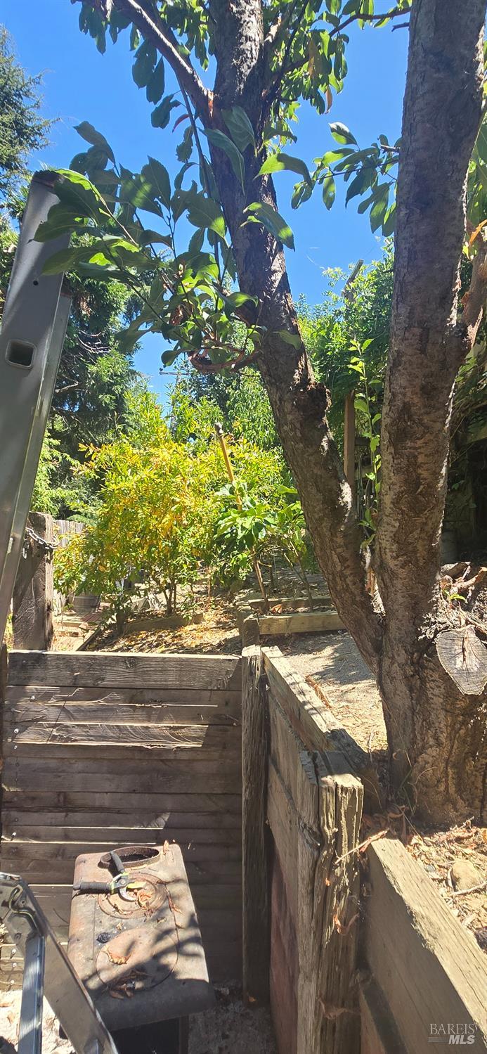 813 Lighthouse Drive Vallejo CA 94590