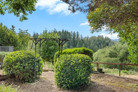 7361 Hidden Lake Road Forestville CA 95436