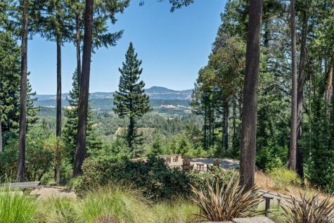1315 W Dry Creek Road Healdsburg CA 95448