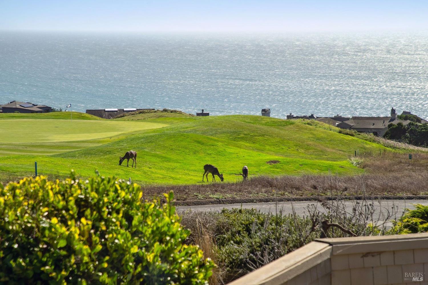 424 Loon Court Bodega Bay CA 94923