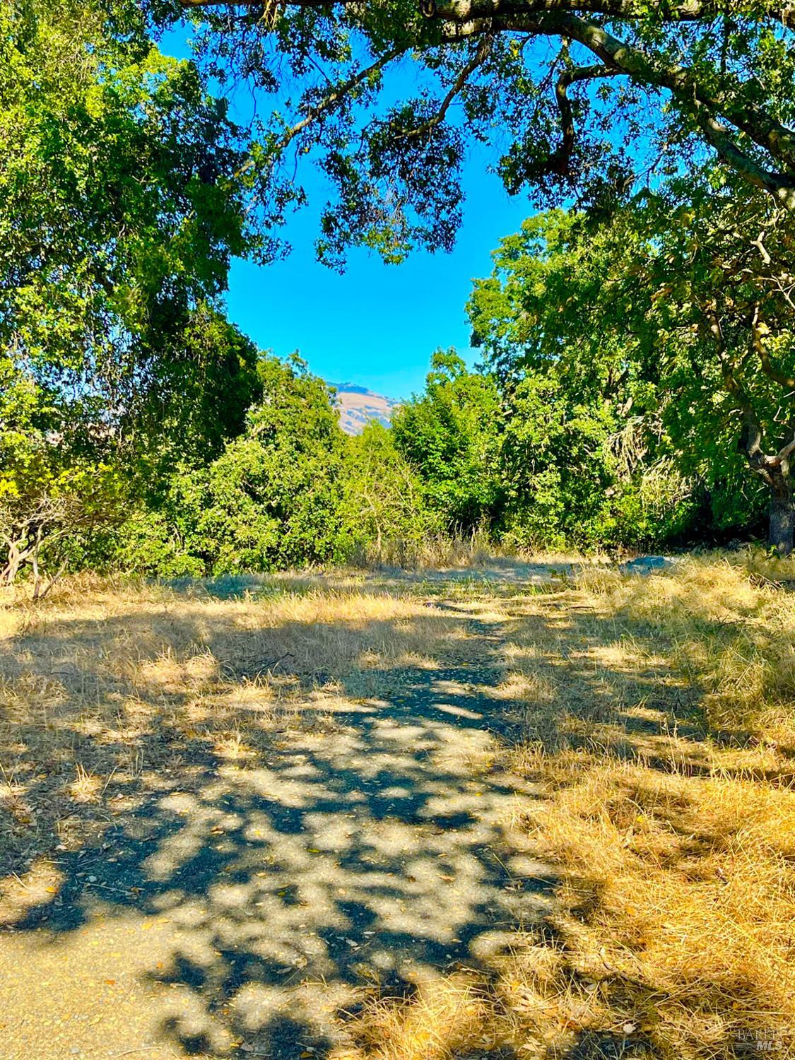 189 El Camino Corto Walnut Creek CA 94596