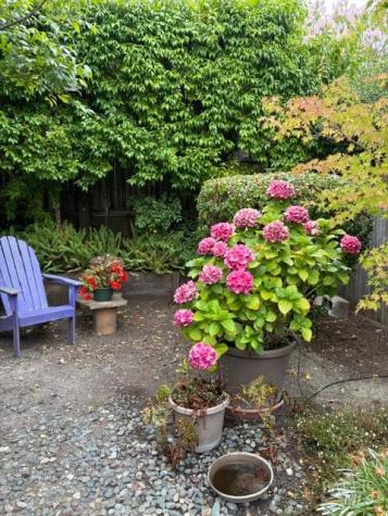 630 Lobelia Court Sonoma CA 95476