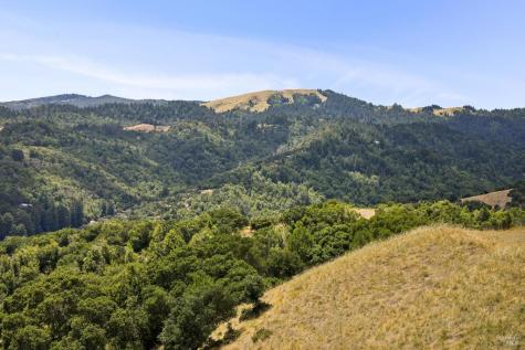 196 Oak Springs Drive San Anselmo CA 94960