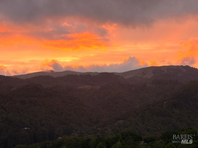 196 Oak Springs Drive San Anselmo CA 94960