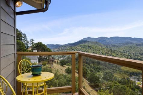 196 Oak Springs Drive San Anselmo CA 94960