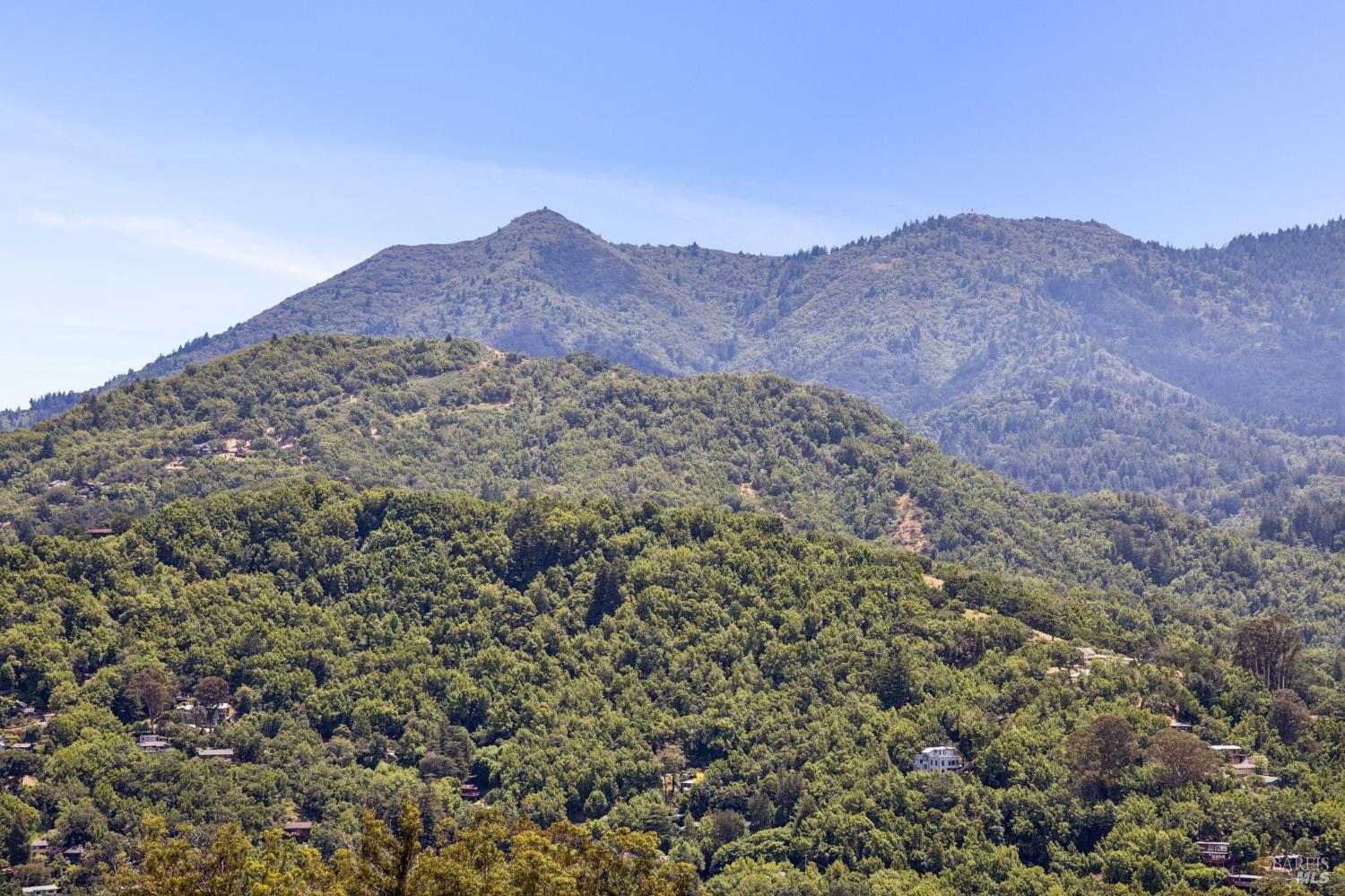 196 Oak Springs Drive San Anselmo CA 94960