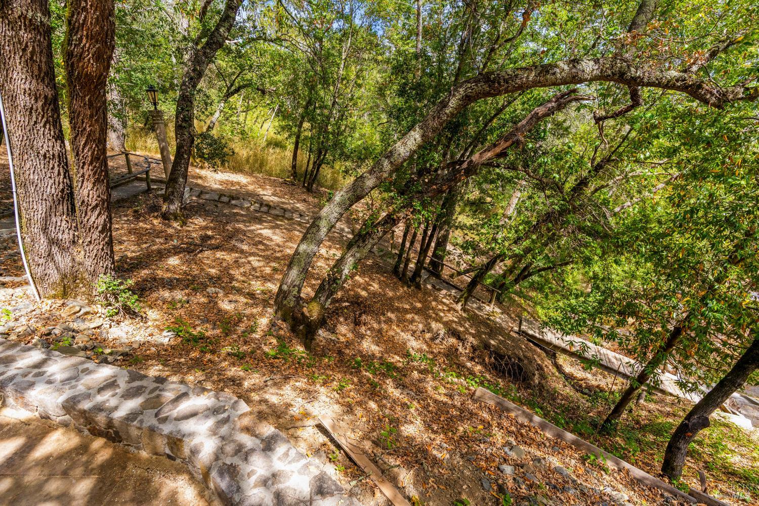 2145 NW Mount Veeder Road Napa CA 94558