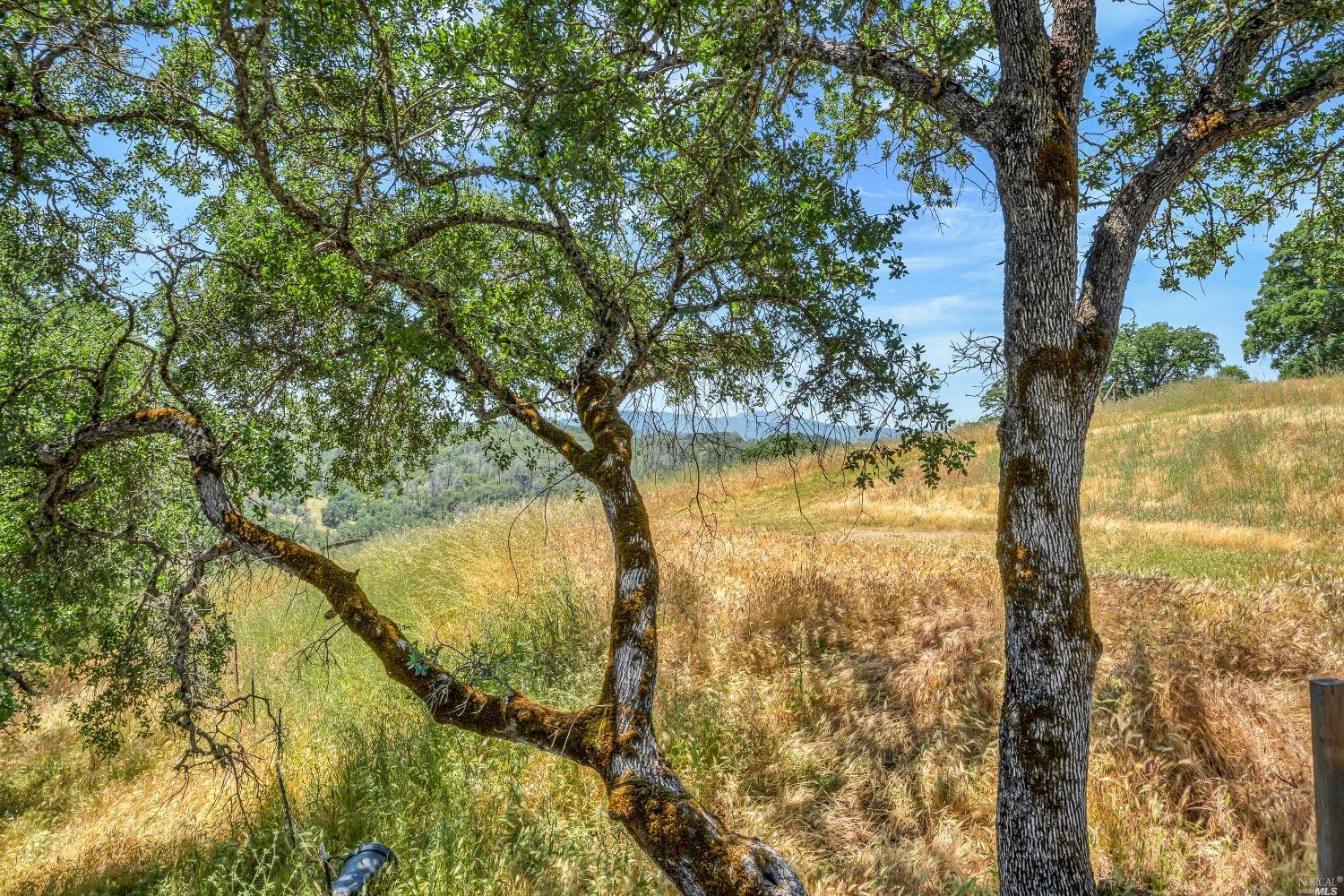 19511 Oak Haven Road Lower Lake CA 95457