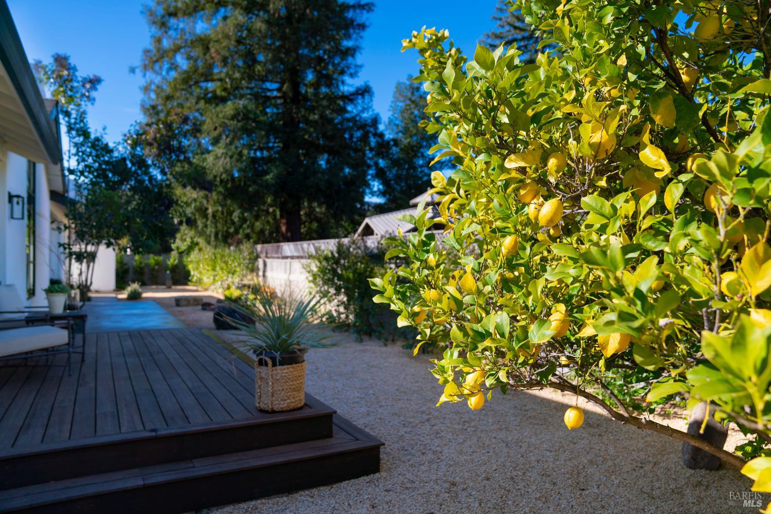 1586 Arrowhead Drive St. Helena CA 94574