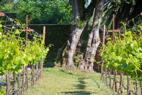 4920 Warm Springs Road Glen Ellen CA 95442