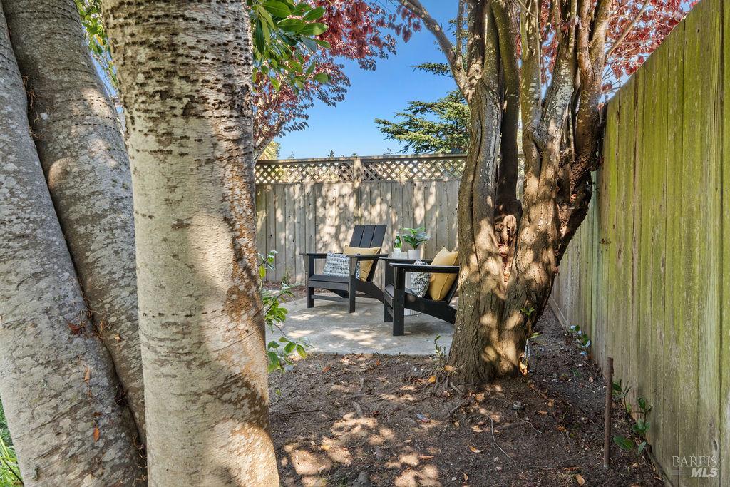 251 Flamingo Road Mill Valley CA 94941