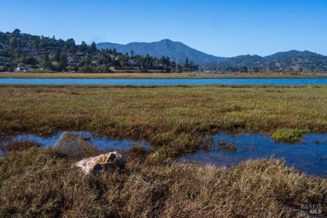 251 Flamingo Road Mill Valley CA 94941