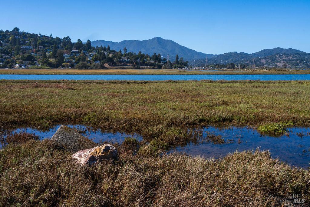 251 Flamingo Road Mill Valley CA 94941
