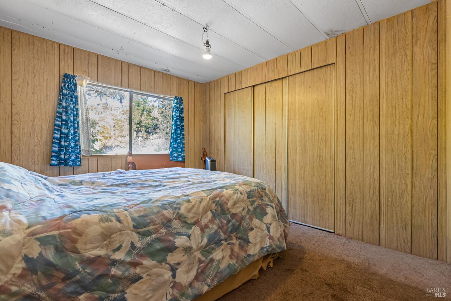8320 Sulpher Creek Road Loch Lomond CA 95461