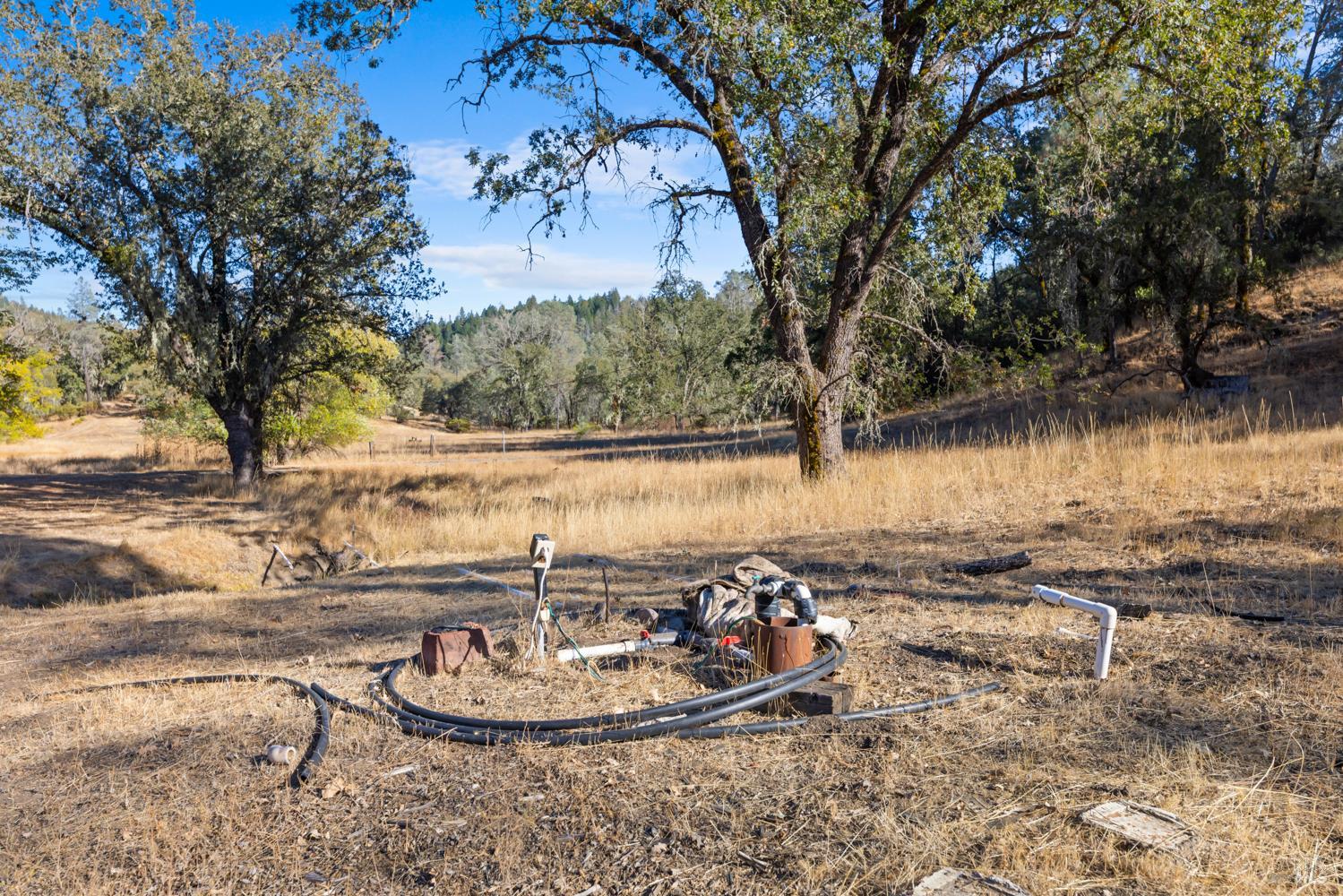 8320 Sulpher Creek Road Loch Lomond CA 95461