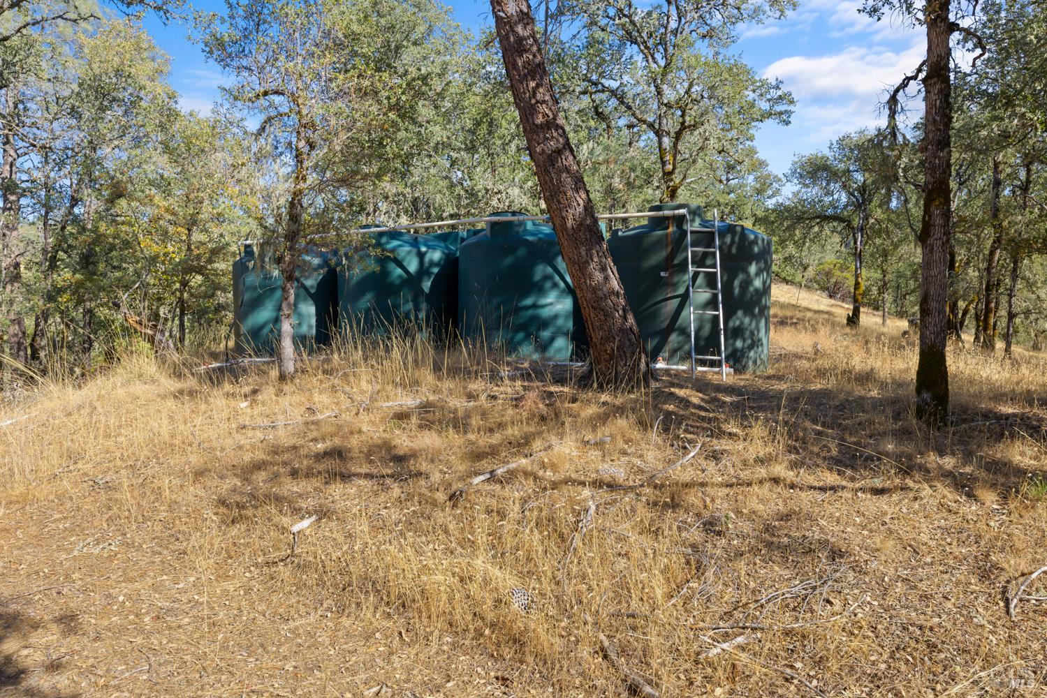 8320 Sulpher Creek Road Loch Lomond CA 95461