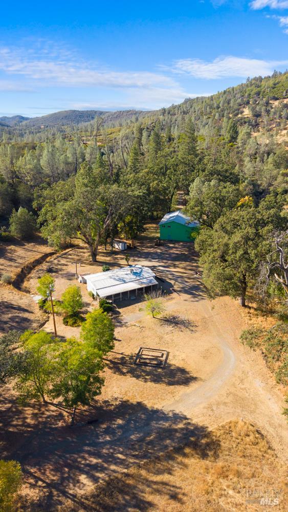 8320 Sulpher Creek Road Loch Lomond CA 95461