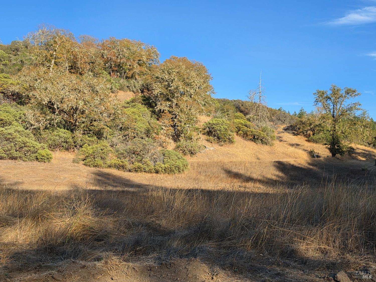 10681 Hearst Willits Road Willits CA 95490