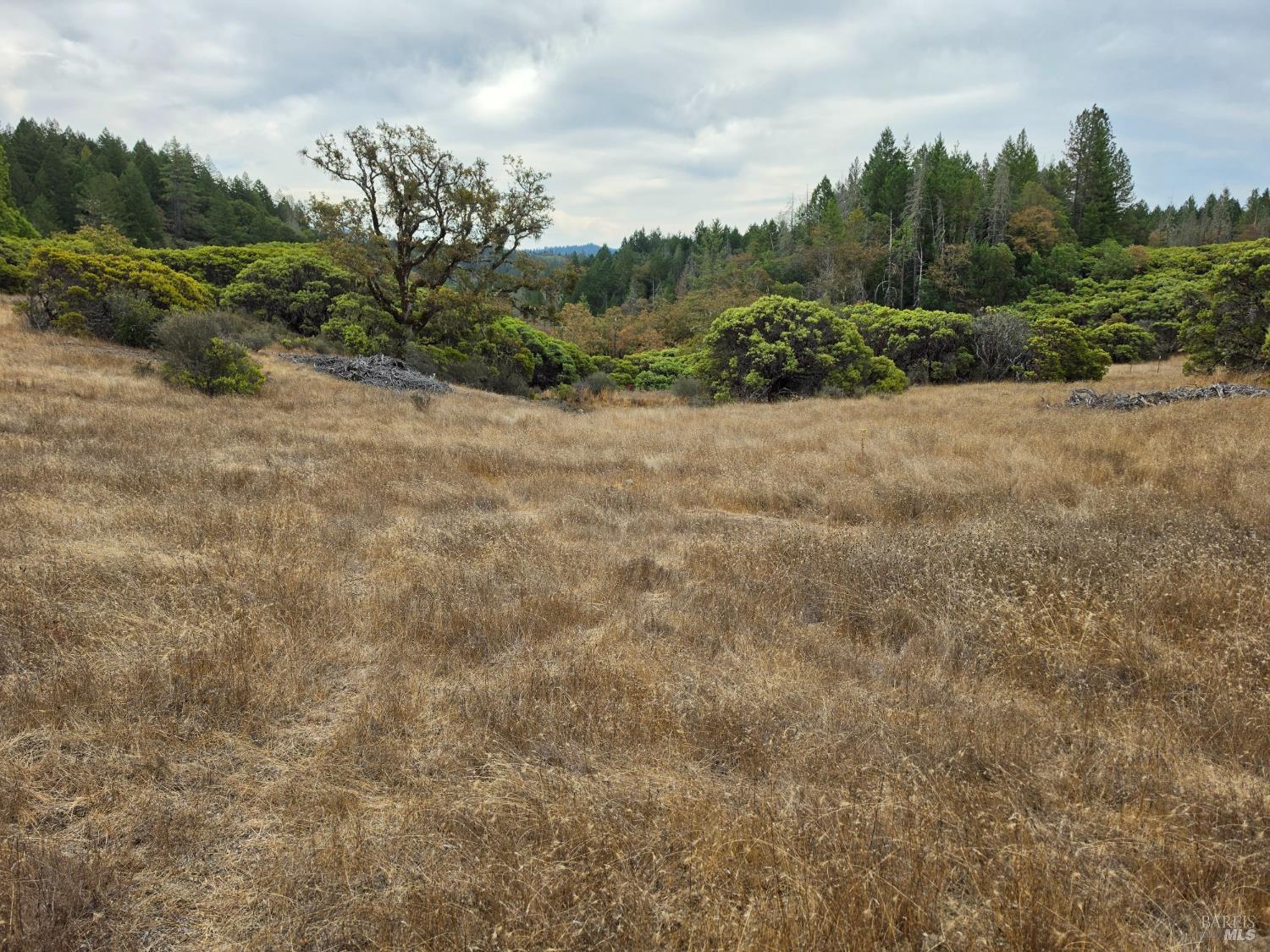 10681 Hearst Willits Road Willits CA 95490
